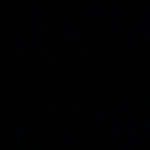 Meet your Posher, Esmeralda